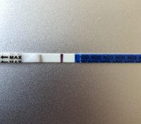 76DEFBC7-508E-407B-9F93-5083AC964A17.jpeg