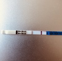 A45AA356-C3D3-45C2-B3CA-BA22BA277AFF.jpeg