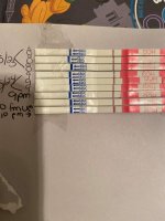 10dpo.jpg