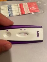 10dpo2.jpg