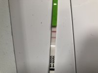 D3E25D78-09BE-464F-B708-A8AECC5BCBC9.jpeg