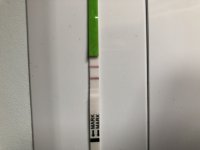 4B419FB3-0C47-46BE-BDD1-EB265050DCDC.jpeg