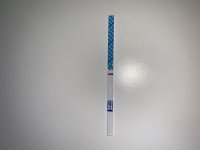 11577772-1719-4C3C-9F8D-B35236FAAACF.jpeg