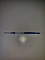 BF6C8107-81C0-4F9C-8540-0B3A4BDB569F.jpeg