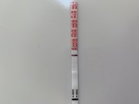 1073A18C-7753-4259-8137-17E9805740E4.jpeg