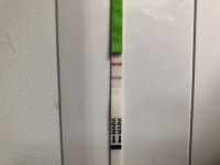 B8DB4A46-F872-48E6-8085-C486410442CD.jpeg