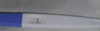 Screenshot_20200619-165815_Gallery.jpg