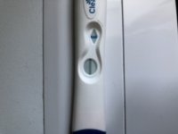 E4E781DA-3B2C-4323-A3A6-B912E2118FEB.jpeg