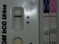 10dpo (2).jpg