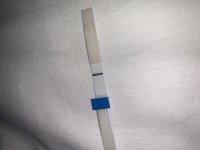 IMG_5691.jpg