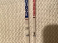C949ED12-2C99-46F2-A00B-230058B1D2E8.jpeg
