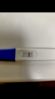 2E2E739D-58FD-409D-82BB-3D05415F9E40.png