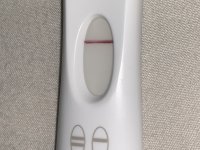 F63C52E7-4D65-46EA-AE8C-E4DC6AAAED30.jpeg F63C52E7-4D65-46EA-AE8C-E4DC6AAAED30.jpeg