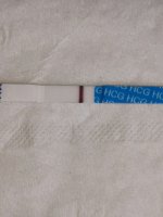 IMG_20200706_102643.jpg