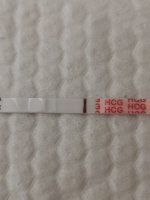 IMG_20200706_164157.jpg