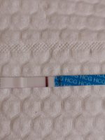 IMG_20200706_164529.jpg