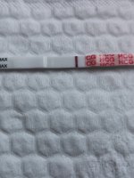 IMG_20200706_205802.jpg