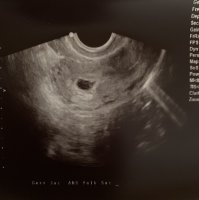 image1.jpeg