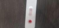 20200710_132216.jpg