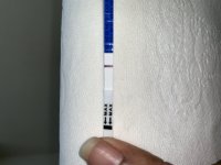 3DB2CBAD-1DDF-44AB-9CC1-B0ED7AEF5E2B.jpeg
