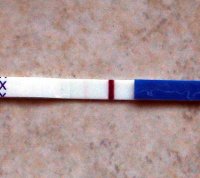 11dpo.jpg