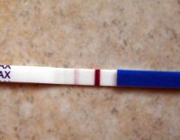 12dpo.jpg