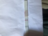 9878186A-E99E-4F9B-9ED9-C23ADBF829AD.jpeg