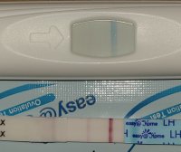 8 or 9 dpo lh.jpg