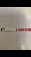EE8367FB-767D-4149-B5D9-593BAC721D43.png