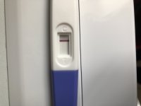 2239B881-1010-4188-9FEB-E538528944D4.jpeg