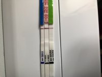 D376F173-BEAD-41D1-9109-4E020496FAAA.jpeg