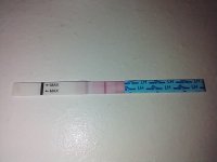 IMG_20200723_124934498.jpg