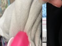 1EDBCF09-4C94-4DAA-AF3B-3927F5D223FC.jpeg