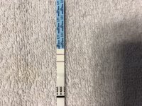 720B6862-6F6C-470F-86B0-48C008BC98E4.jpeg