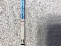 8E0E4FF1-25F2-4AE0-9517-BCBFA3FB24AA.jpeg