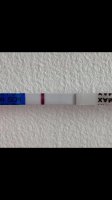 0D750F7A-BDB5-446E-8DB1-F63C2D0B405F.jpeg