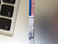 A4F245D5-6CCC-4F84-9218-CCFED01BDA2F.jpeg