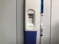 94E99185-D74E-4B05-8E77-AEF2708D2475.jpeg