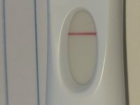 20200729_155947.jpg
