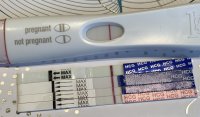1886C1BD-15CB-4D84-AD74-E66CF0C85AC5.jpeg