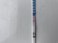 9E980144-5E7F-47AB-9AE4-6BEED4C6DCD9.jpeg