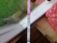 20200803_133933.jpg