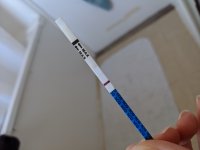 IMG_20200804_090903.jpg
