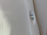IMG_20200804_092050.jpg
