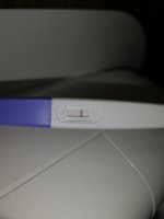 IMG_20200808_115628.jpg