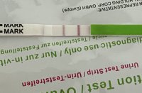 831DF02B-0537-4D61-862A-ED1A772C7437.jpeg