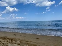 4D2928DF-DE7B-48BB-B7B4-1AC08254C438.jpeg