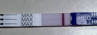 20200812_061719.jpg