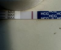 20200813_190653.jpg
