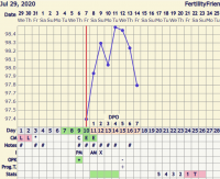 7dpo Aug.png